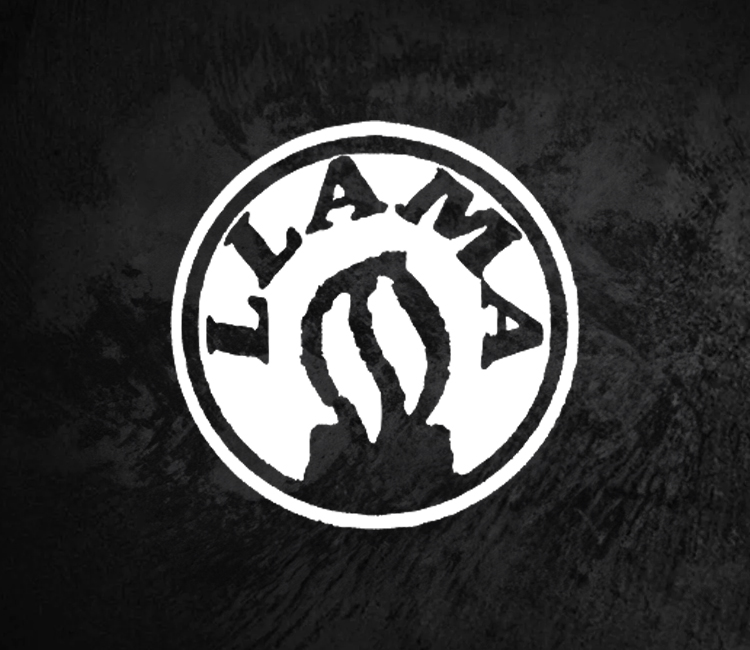 Category: LLama